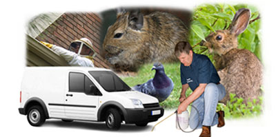 Worsbrough local van